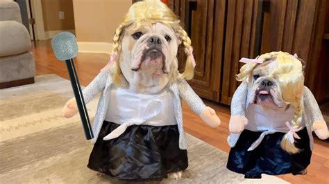 britney spears dog costume